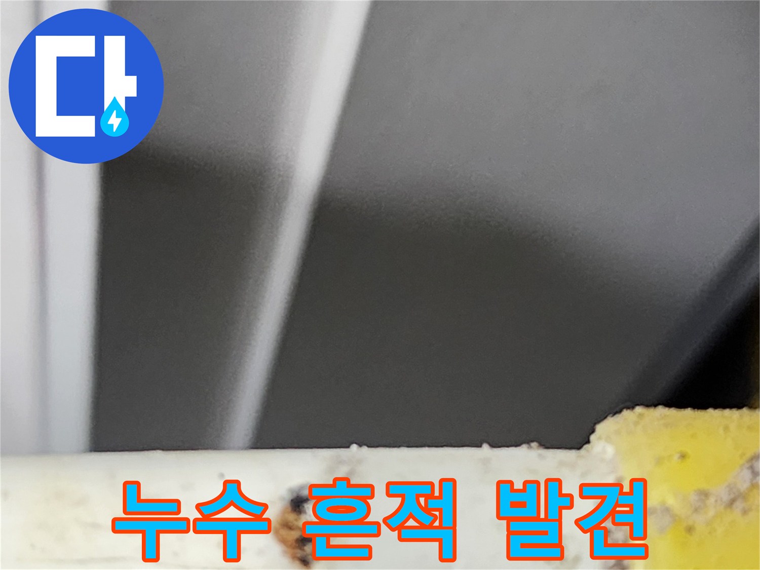 숙련된-전문가가-동대문구-주택에서-탐지한-물-새는-곳의-확대-사진입니다