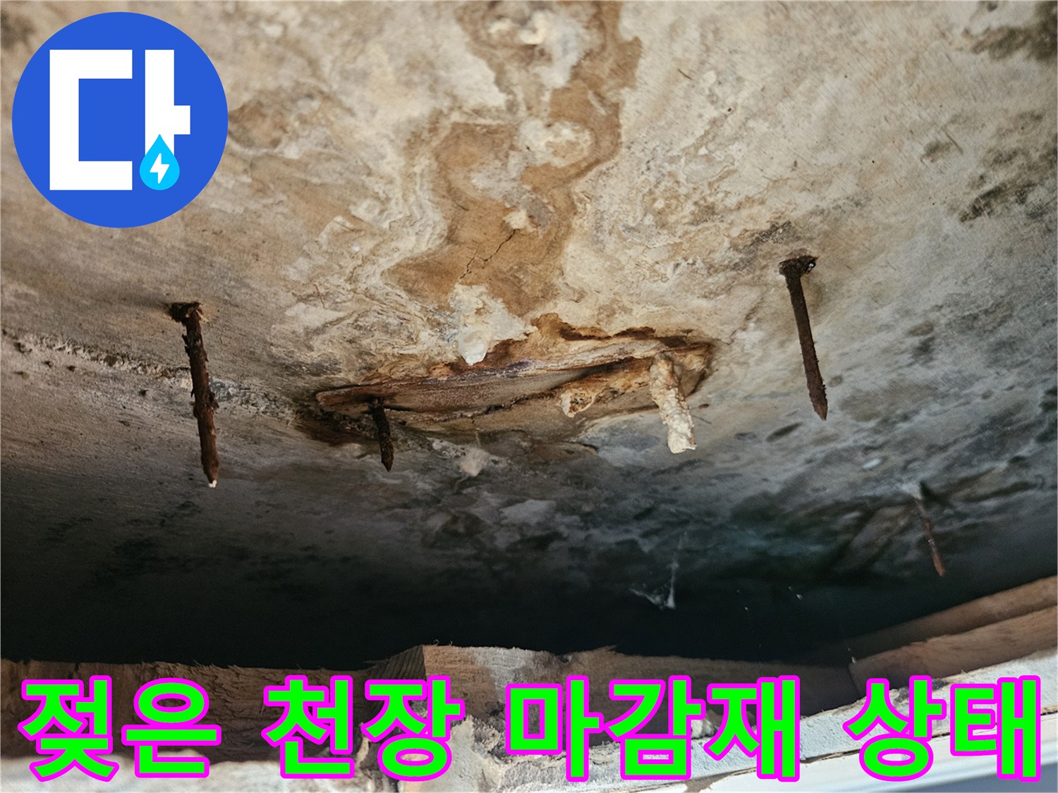 동작구 사당동-물기에 젖어 변색된 천장 내부 모습