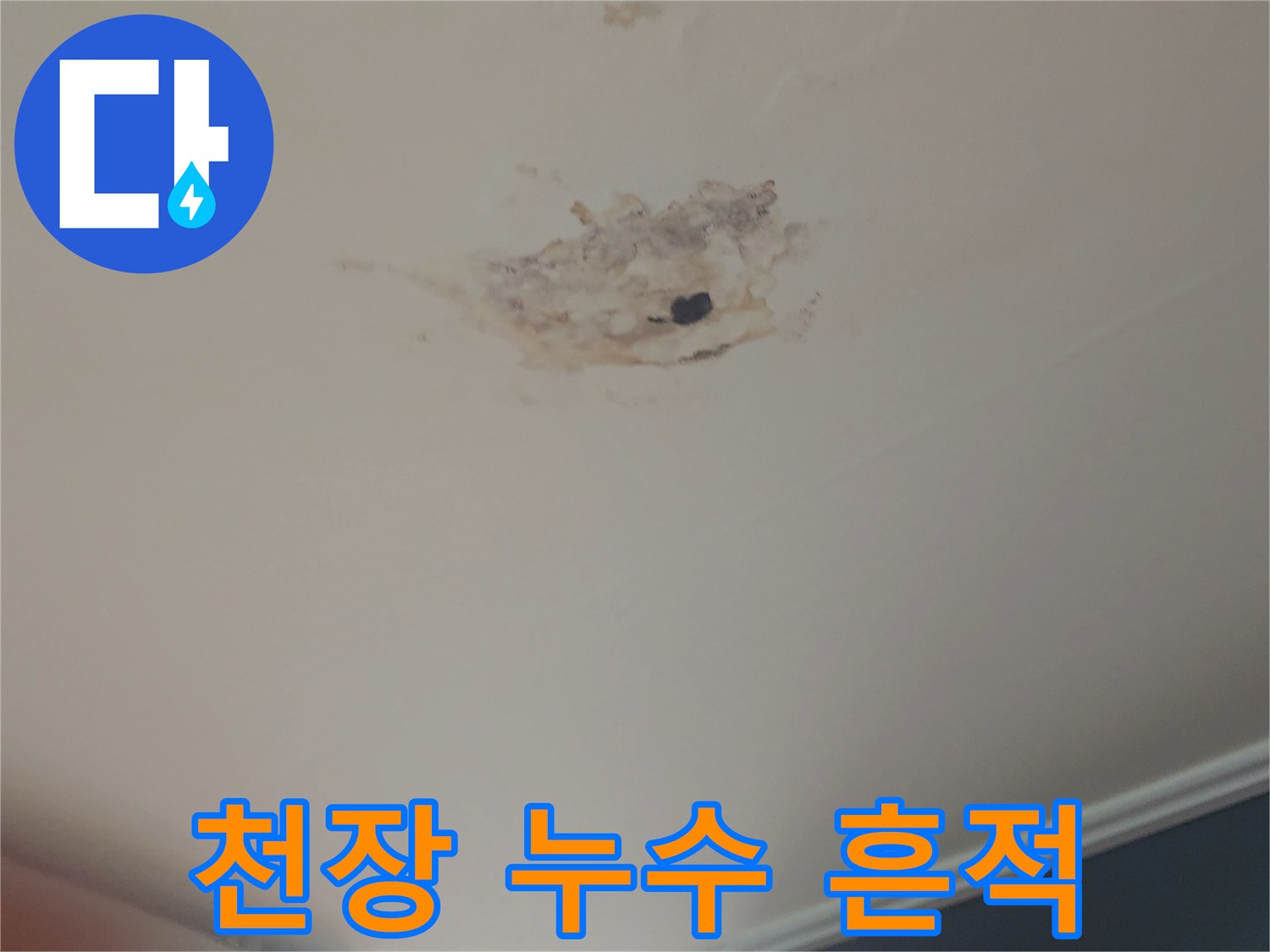 동작구 아파트-천장 물샘 및 얼룩 상태