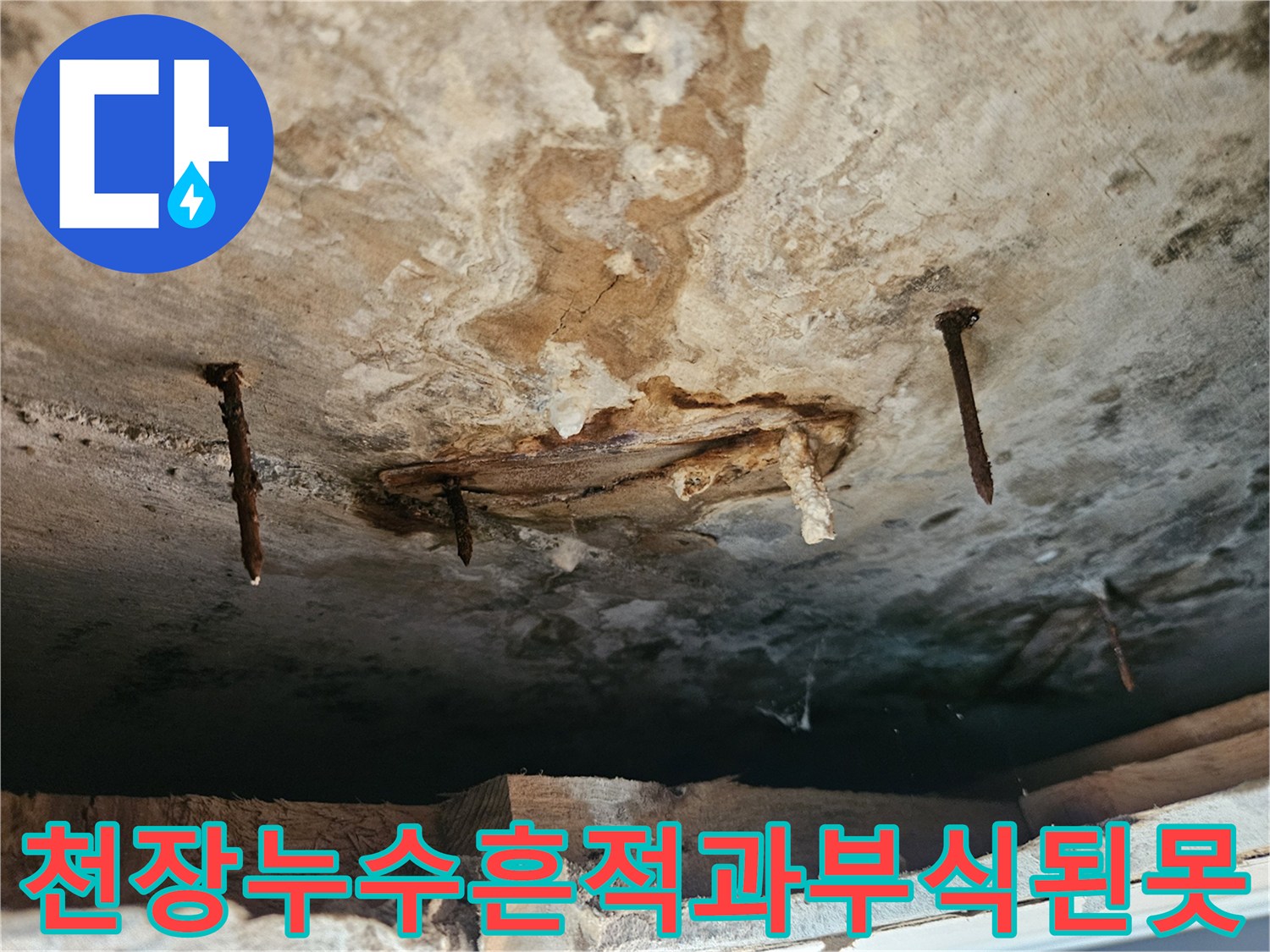 동작구-현장-천장-슬라브-물샘-흔적-및-부식된-고정-못