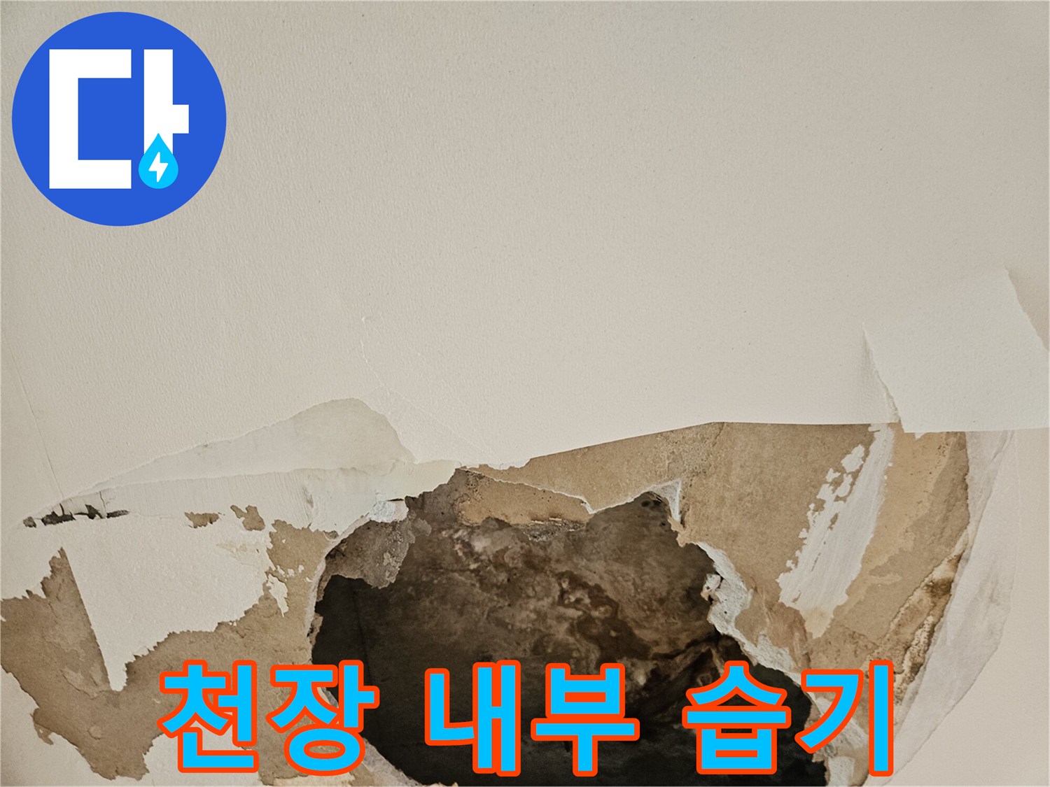 물샘으로-인해-젖어있는-천장-내부-구조물