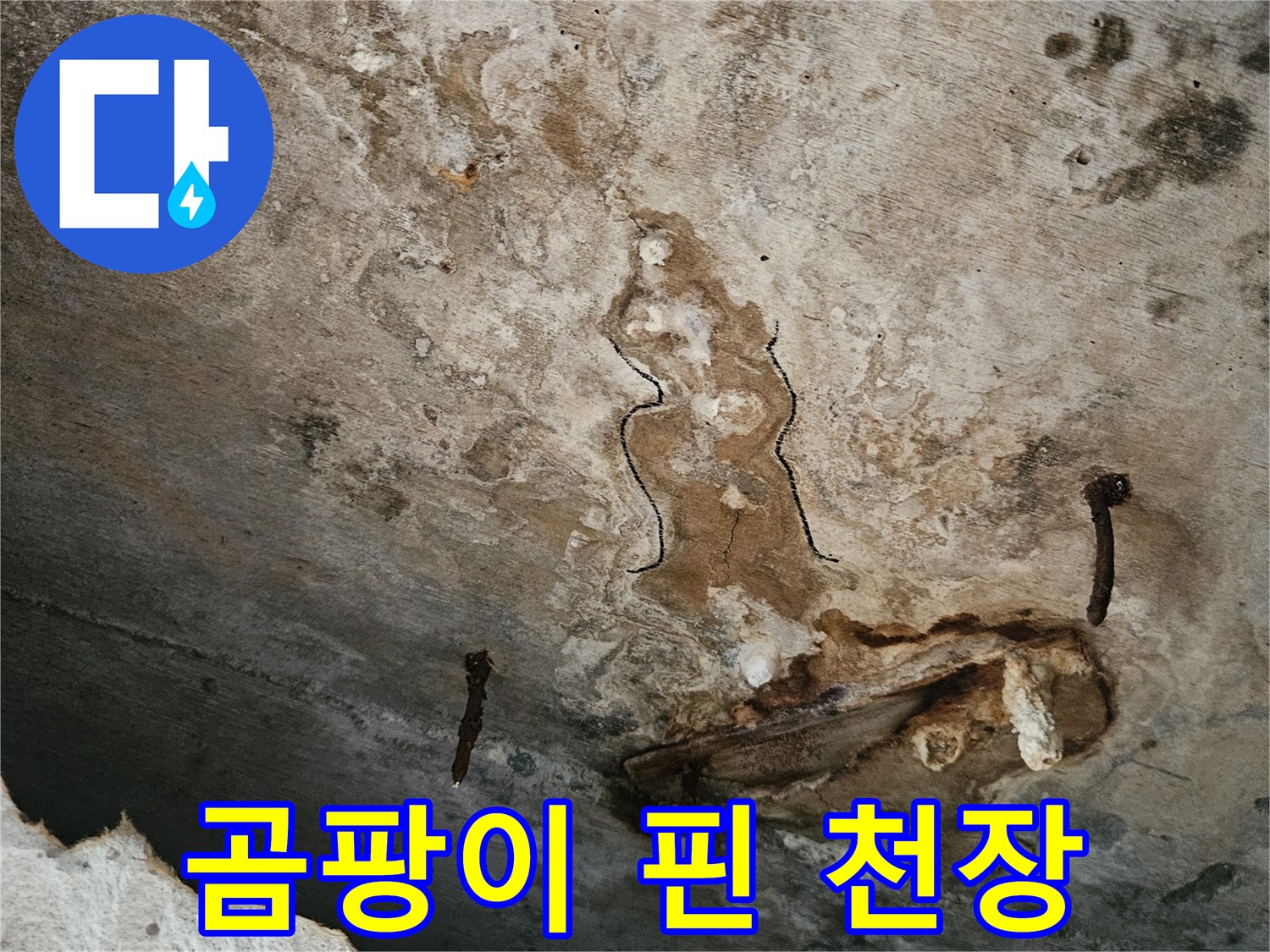 습기로 인해 곰팡이가 발생한 천장 내부 상태
