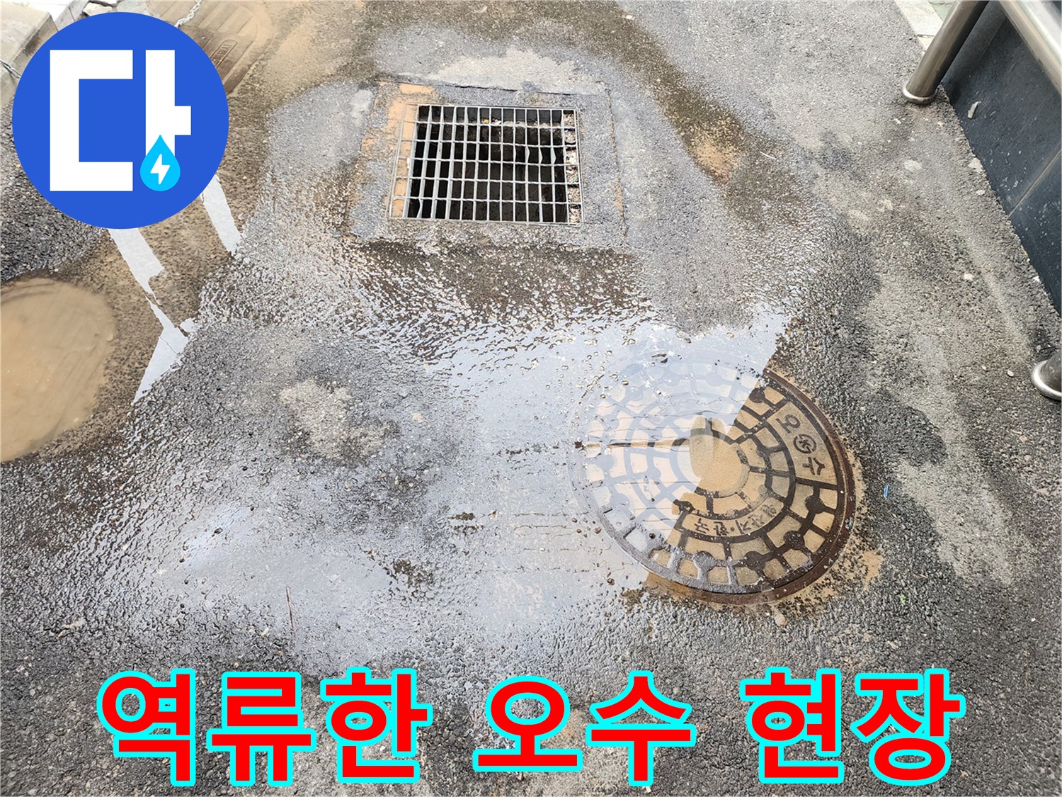 오수가 역류하여 맨홀과 배수구 주변에 물이 고여 있습니다