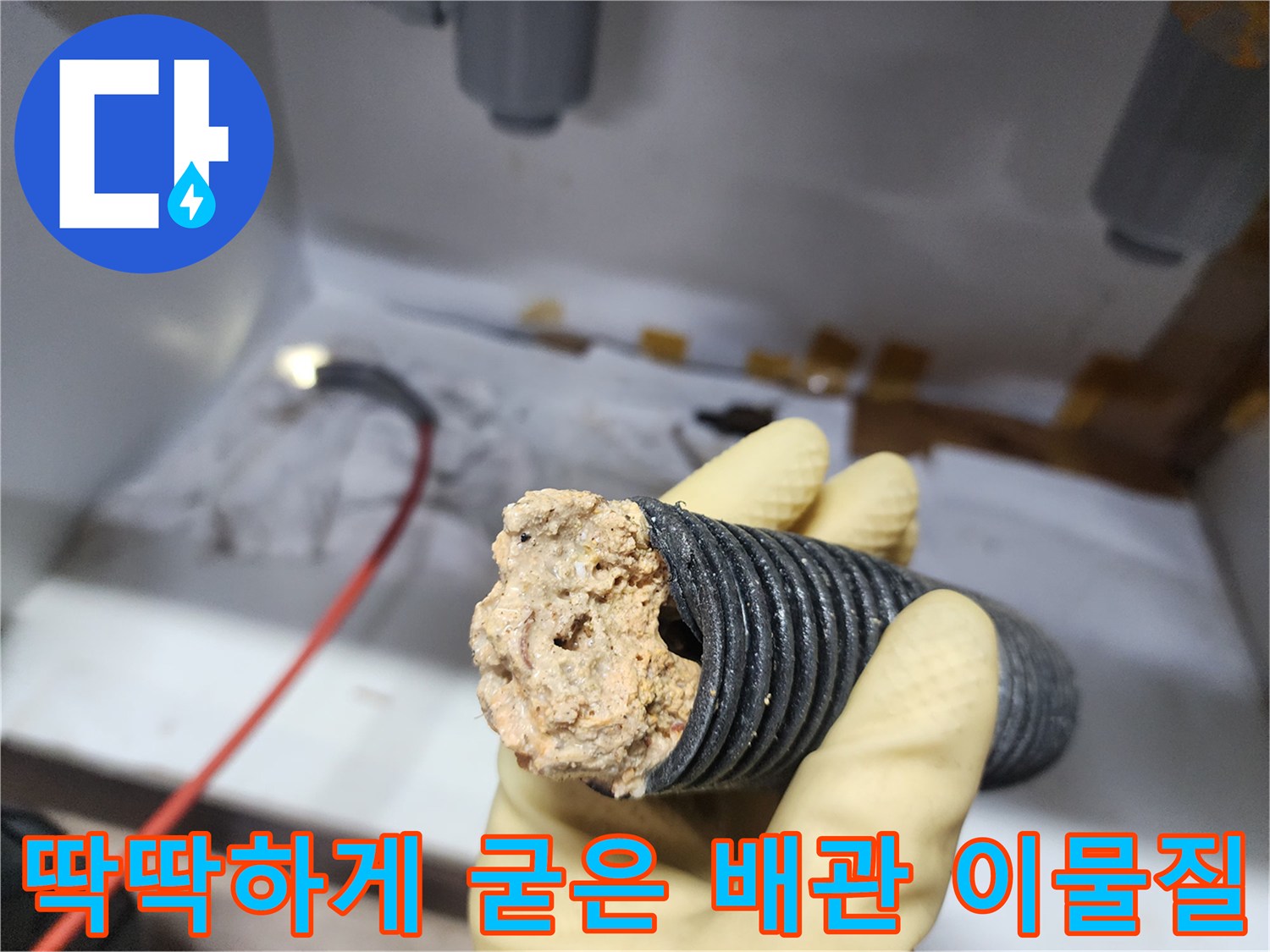 주름관 내부에서 나온-응고된 기름 덩어리 상태
