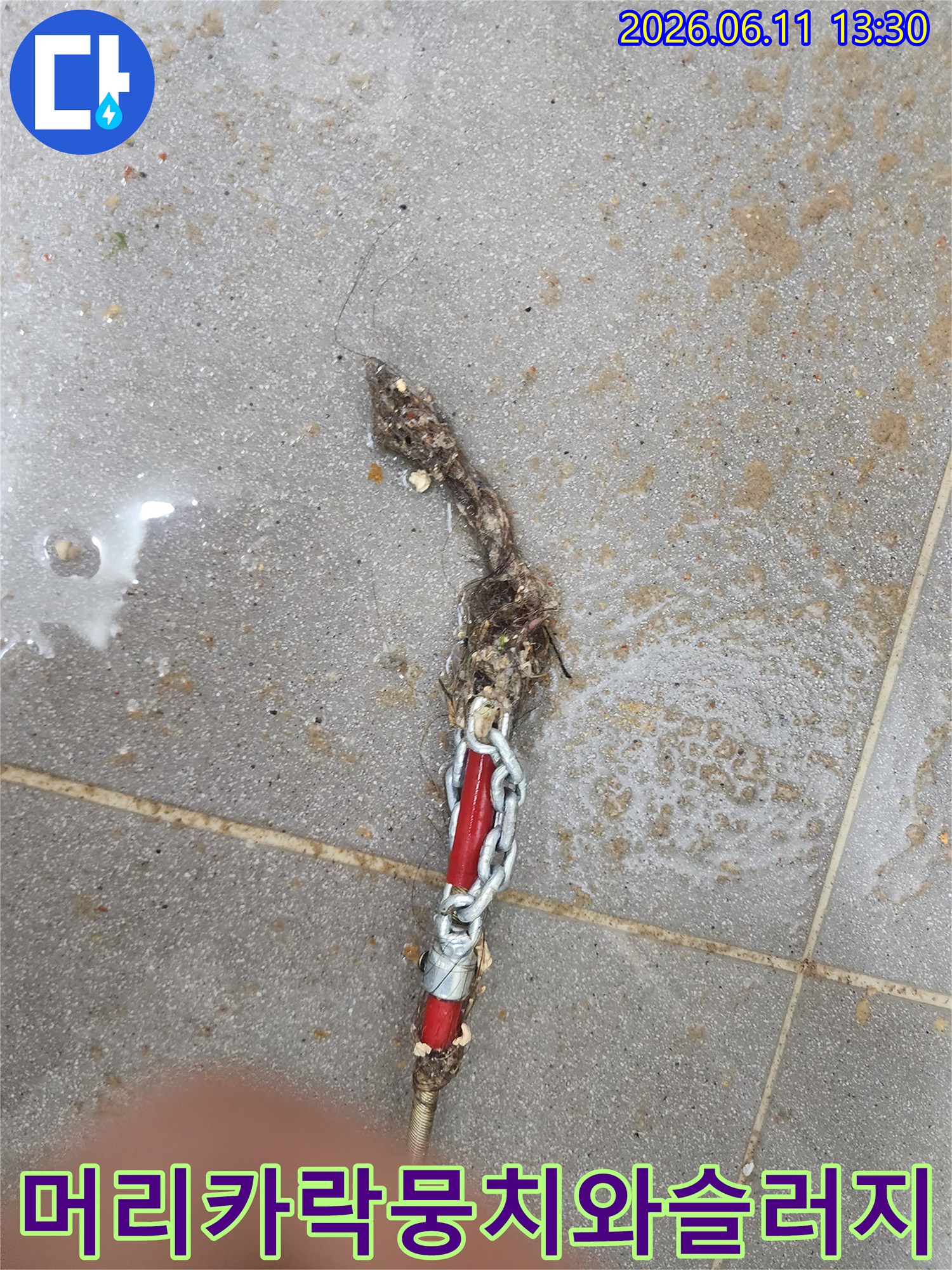 제거된 배관 이물질-머리카락과 슬러지의 혼합물
