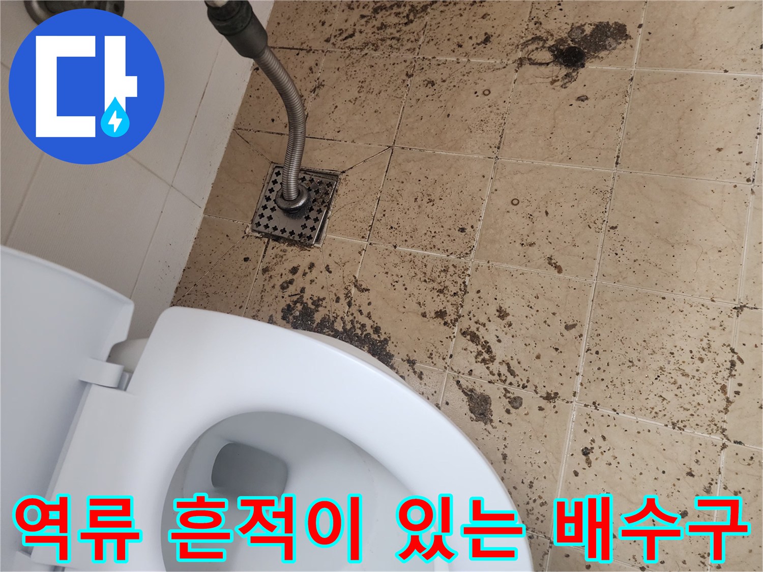 금곡동 현장-변기 옆 타일 바닥과 오염된 배수구 입구 모습