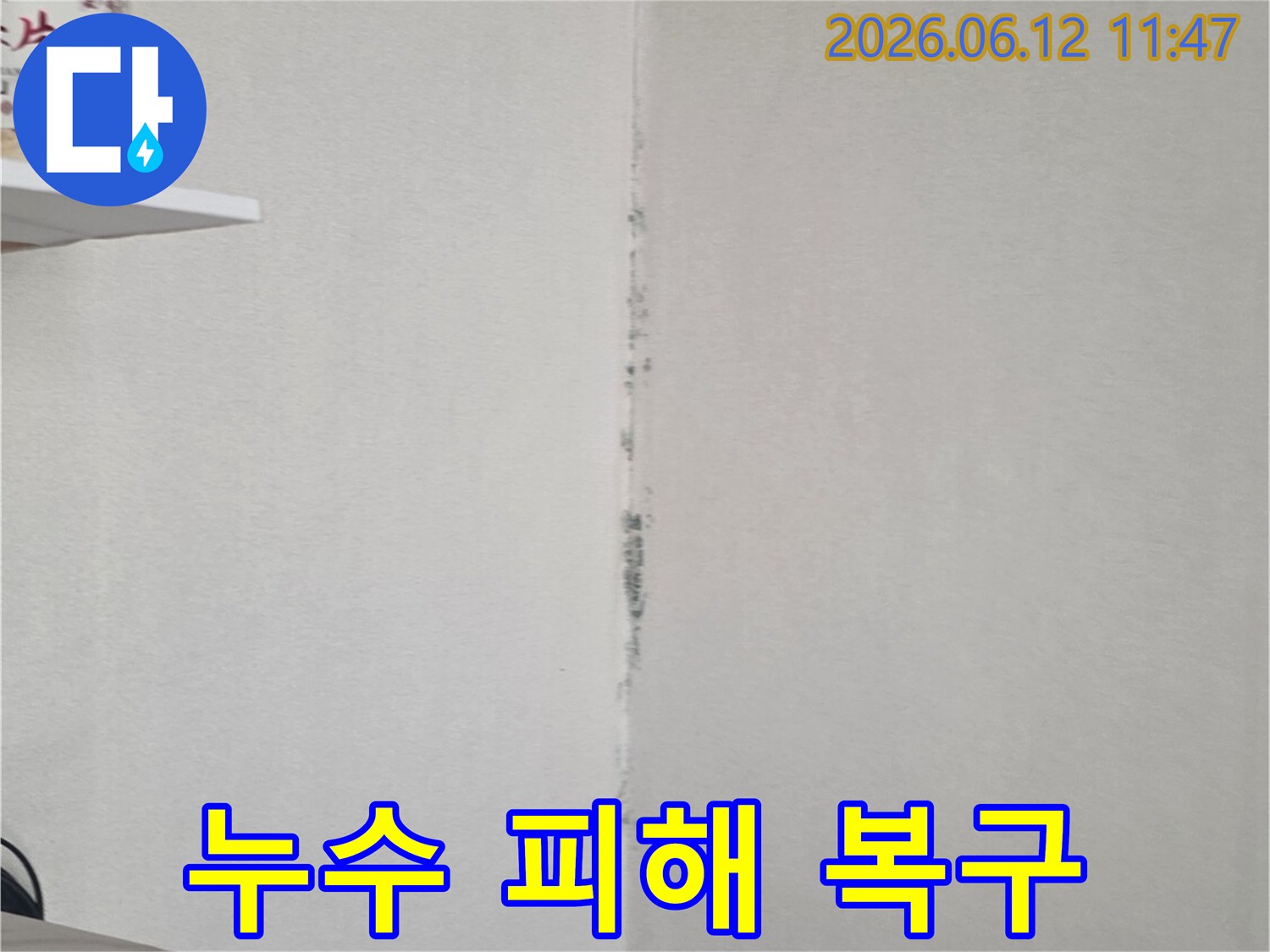 천장 모서리에 검은 곰팡이가 길게 번져 있어-누수로 인한 피해 복구 작업이 시급함을 보여줍니다.