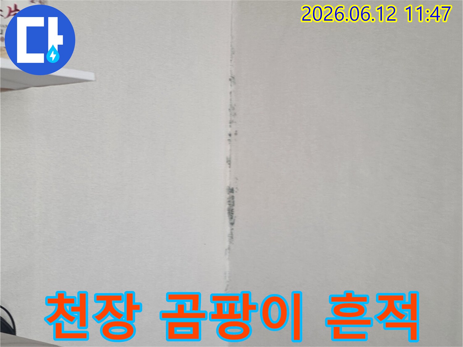 천장 모서리에 검은 곰팡이가 길게 형성되어-내부 습기 문제나 누수를 의심하게 합니다.