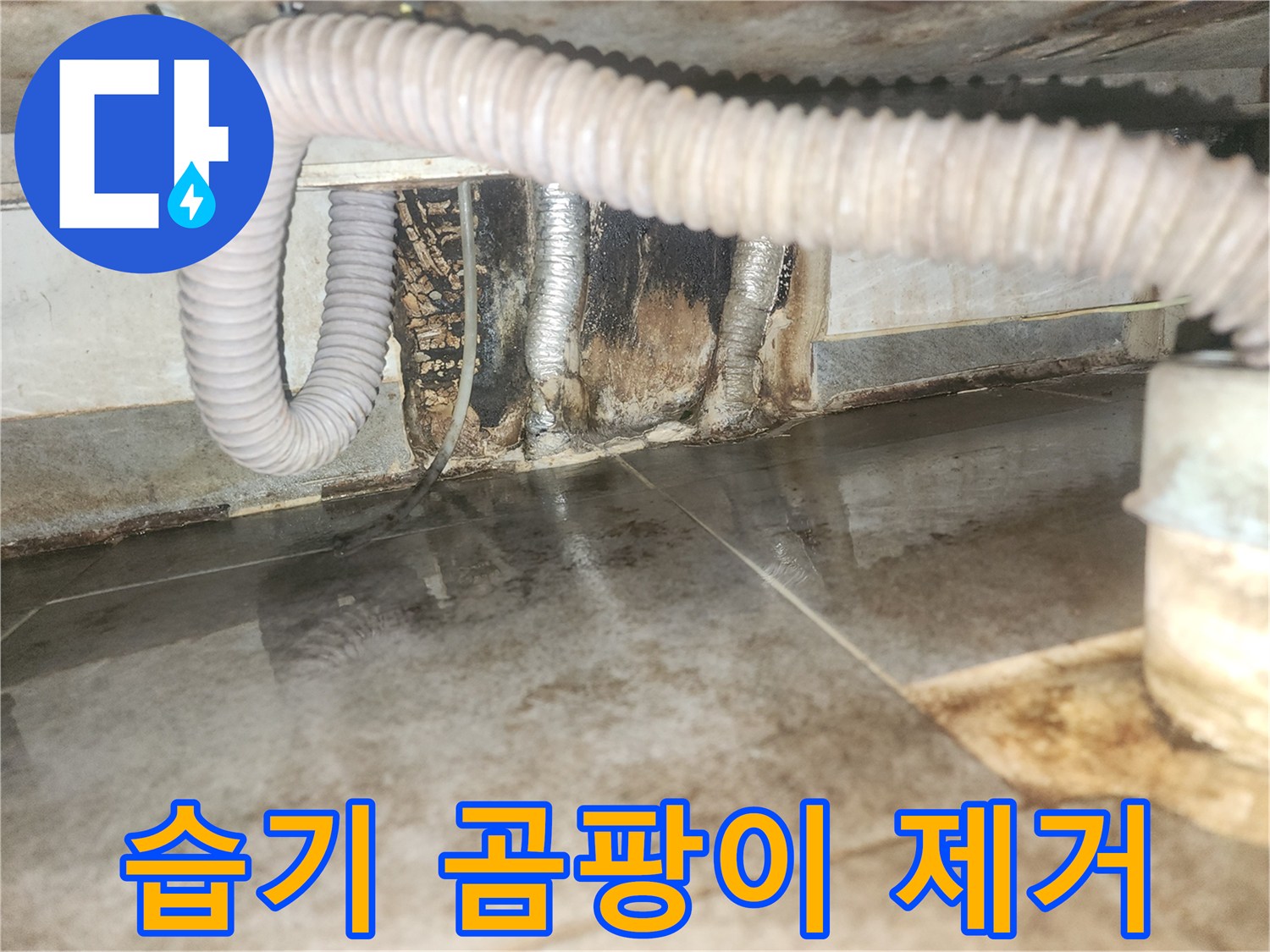 누수로 인해 벽면과 바닥에-습기와 곰팡이가 가득한-상가 현장