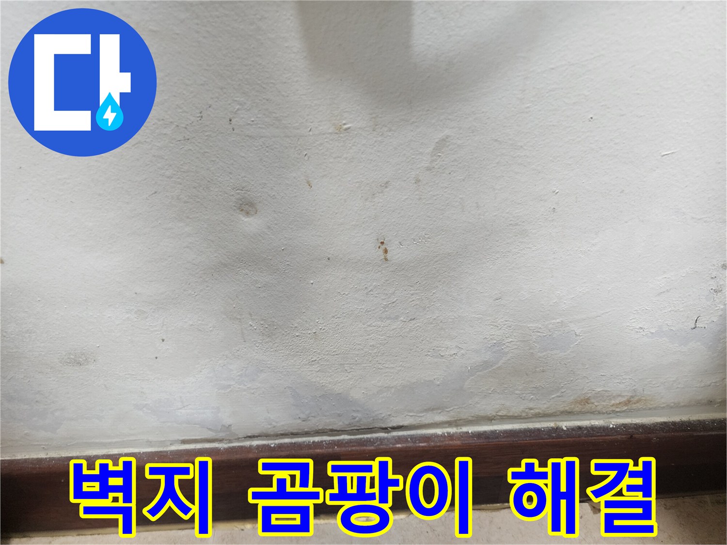 벽지-곰팡이-발생-누수-해결-전문-사진