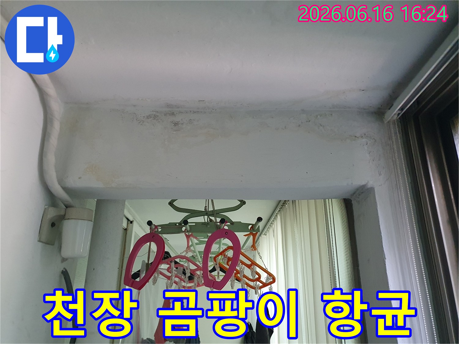 수택동-아파트-천장에서-발견된-누수로-인한-곰팡이-제거-및-항균-시공-현장