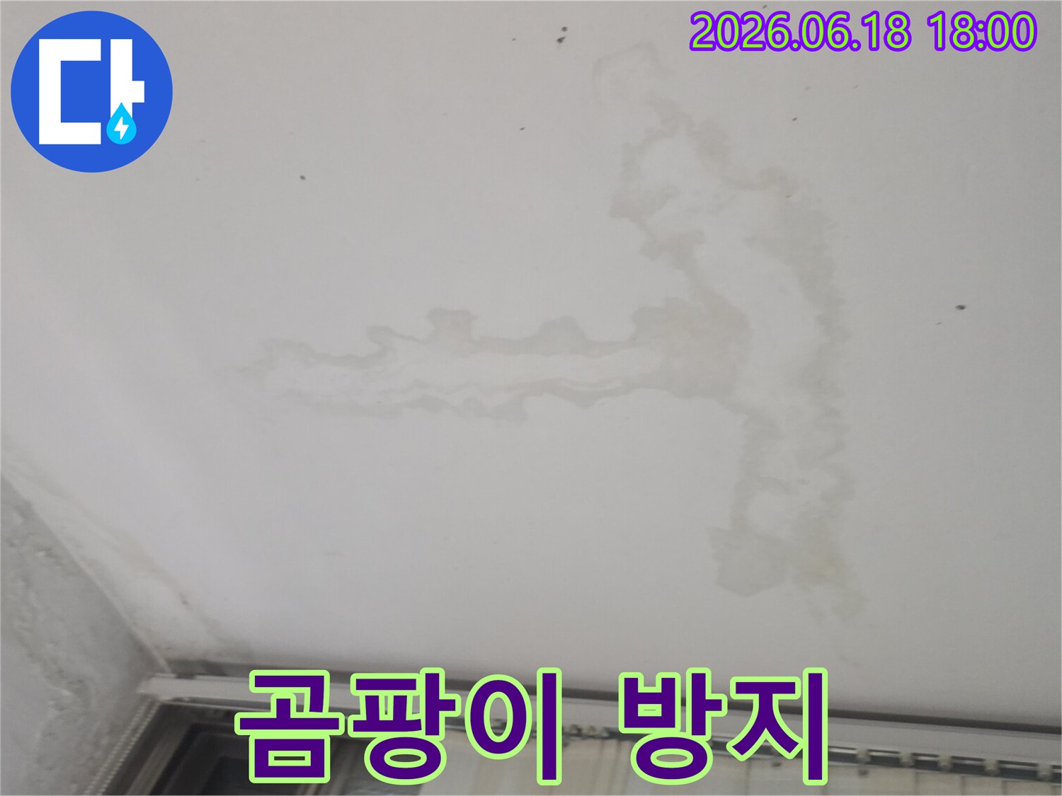 천장에-발생한-누수-흔적은-누수-후-곰팡이-제거와-재발-방지를-위한-전문적인-대책이-필요함을-시각적으로-보여줍니다