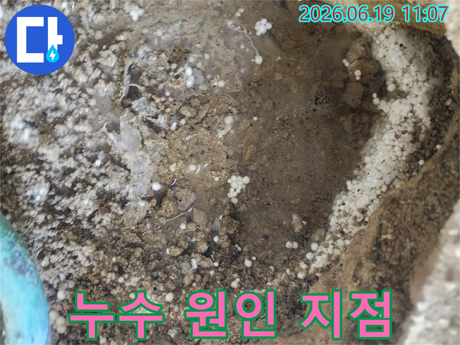 작은방 바닥에서 발견된-누수 원인 지점의-젖은 흙과 이물질을 보여주는 사진입니다.