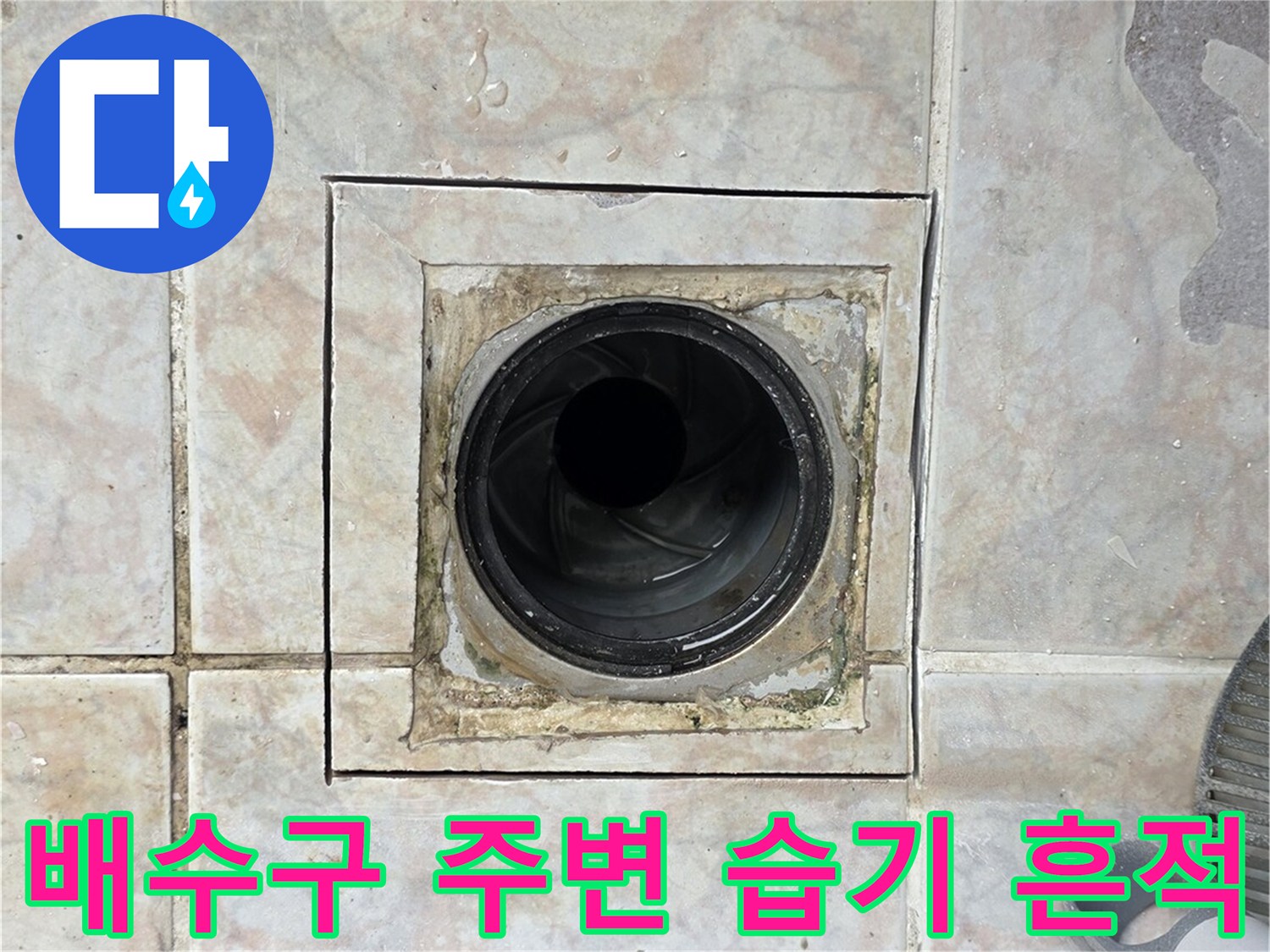 세탁실 유가 입구-습기가 침투한 타일 사이의 변색 부위