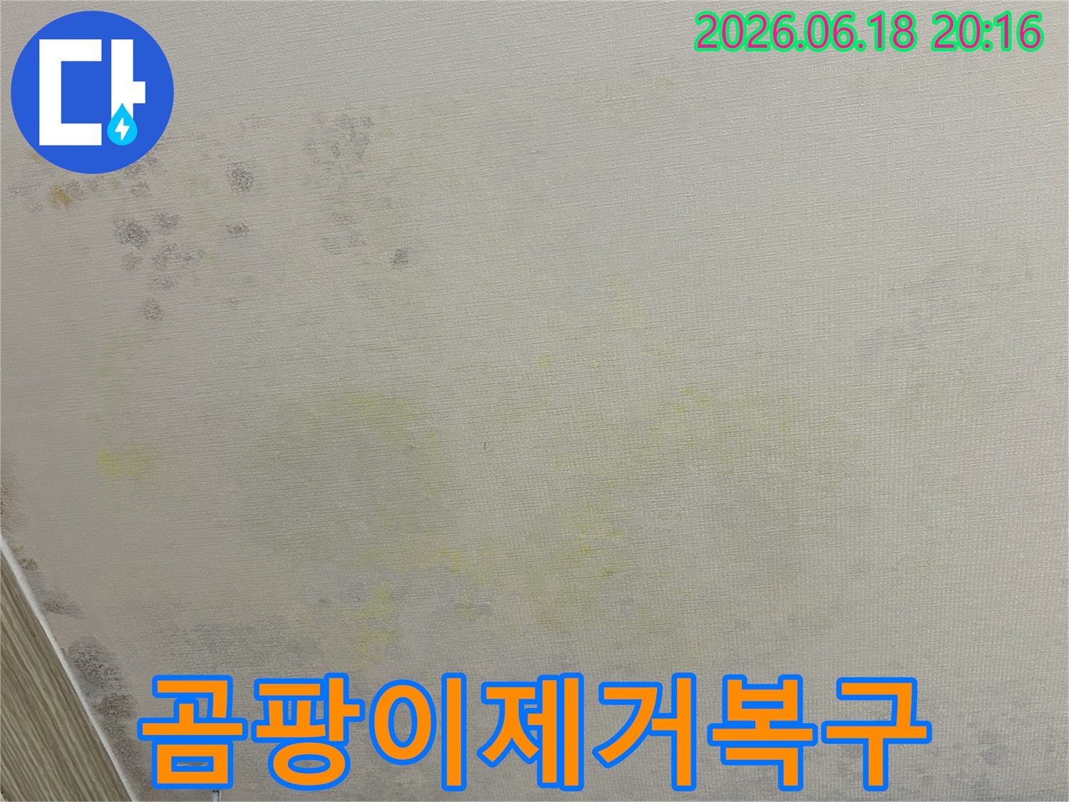 누수로-인해-벽지에-생긴-얼룩과-곰팡이-번짐을-보여주는-사진