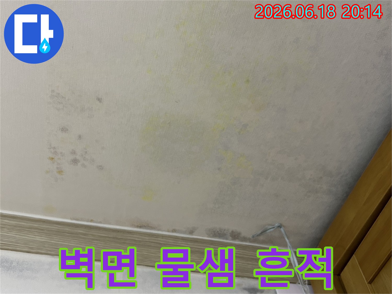 벽면에-물샘-흔적과-함께-곰팡이가-번식한-모습이-찍힌-사진입니다.