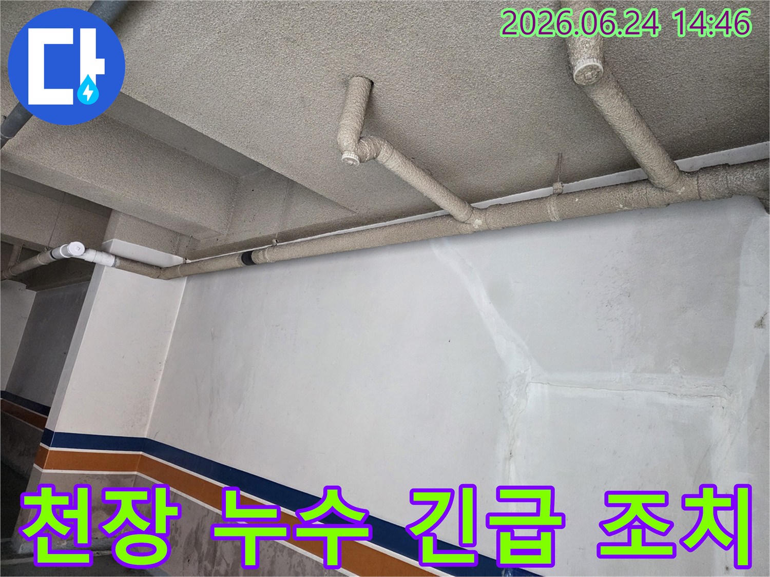 성북구-동선동-건물-지하-천장-누수-긴급-조치-현장-확인