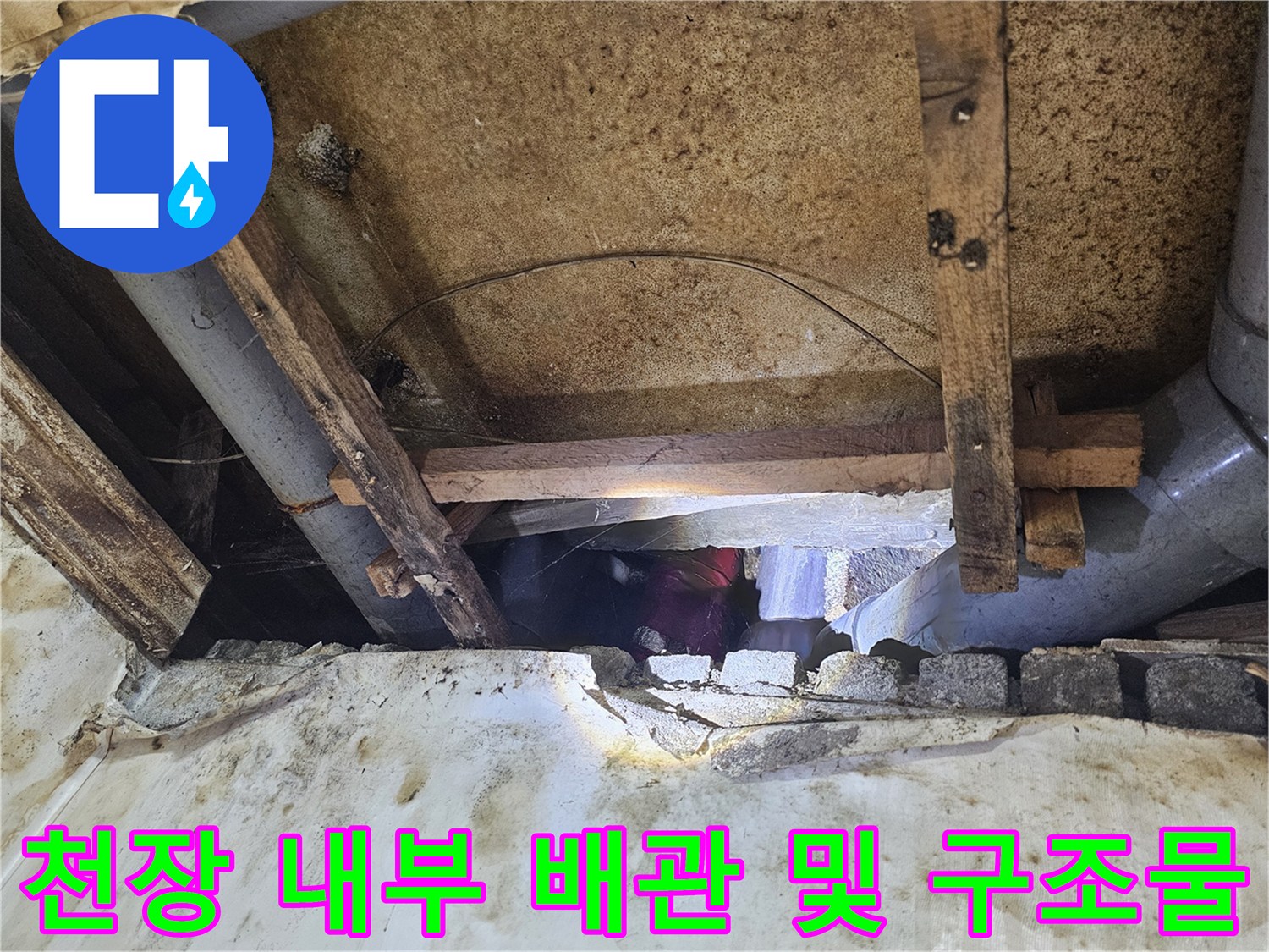 동작구 현장의-천장 내부 배관과 목재 구조물 상태를 확인하는 모습