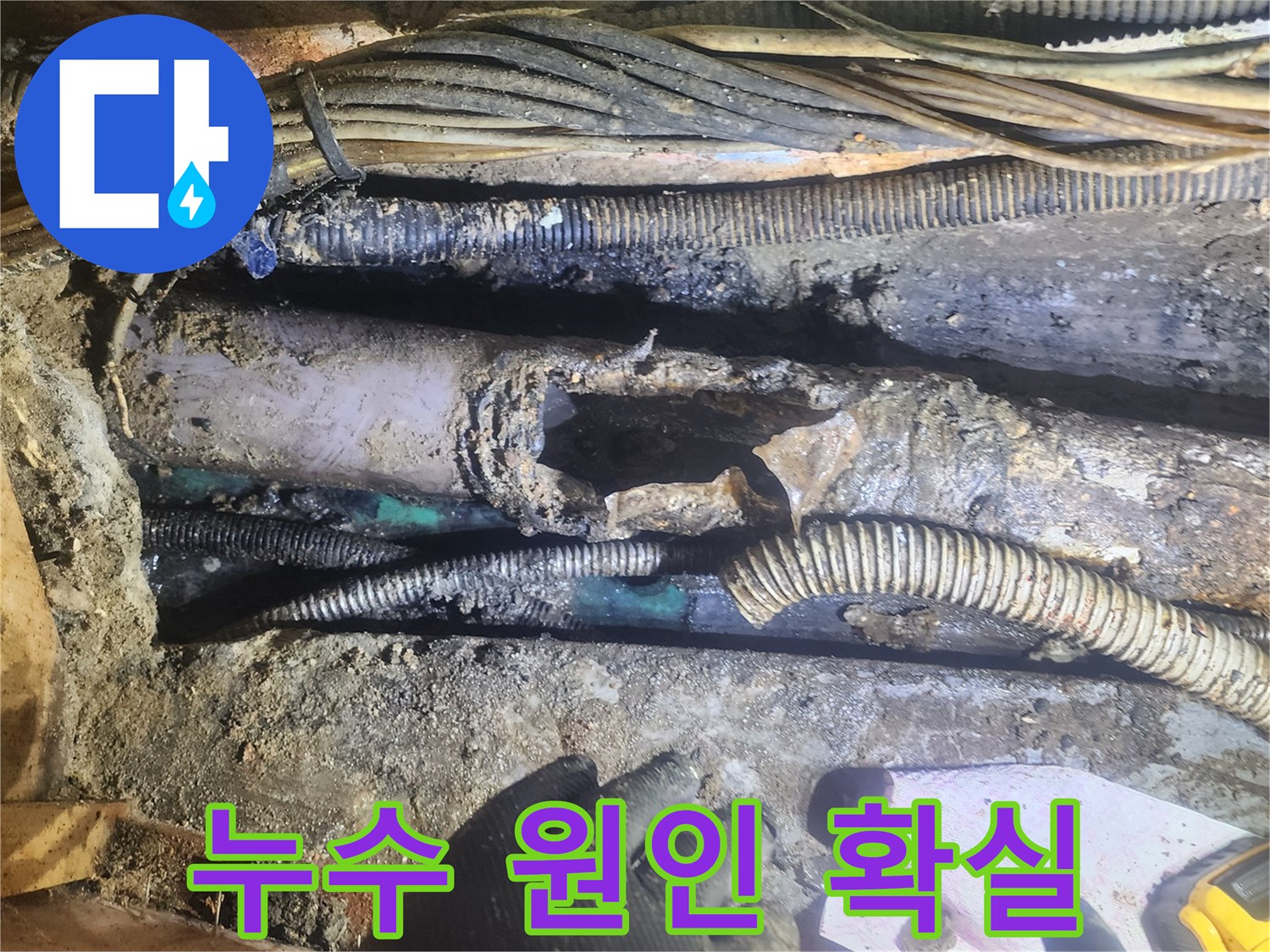 누수의-주된-원인인-파손된-배관을-전문가가-정밀하게-점검하며-확실한-교체-작업을-준비하는-모습