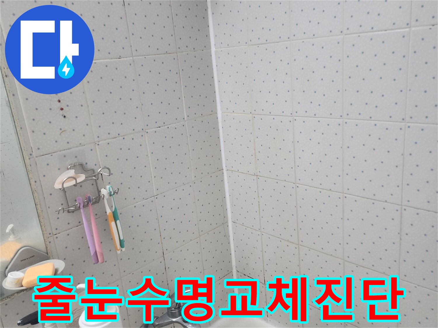 동대문구-사가정로-욕실-누수-타일-줄눈-수명-교체-필요성-진단-모습