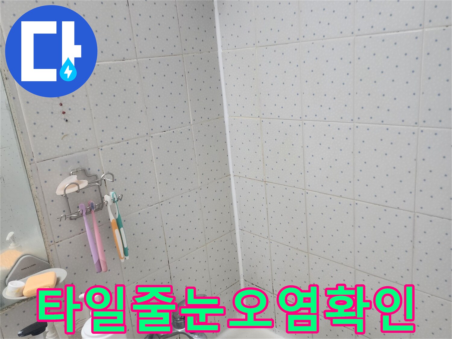 동대문구-사가정로-한신아파트-욕실-누수-문제-바닥-벽면-정밀-진단