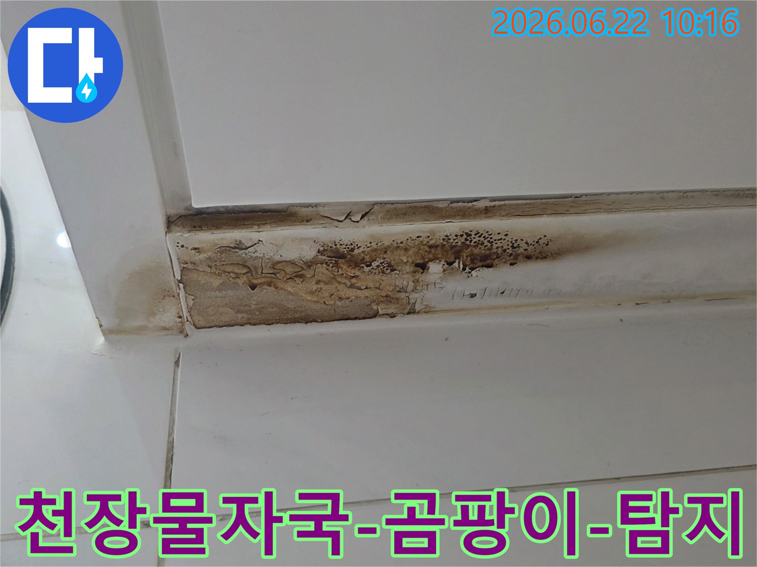 천장-모서리에-발생한-심각한-물자국과-곰팡이-누수로-인한-벽면-손상-모습
