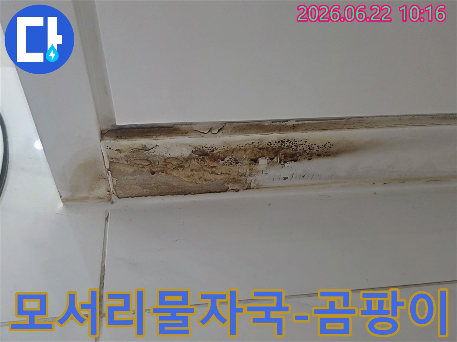 천장-모서리에-발생한-심각한-물자국과-곰팡이-누수로-인한-벽면-손상-모습