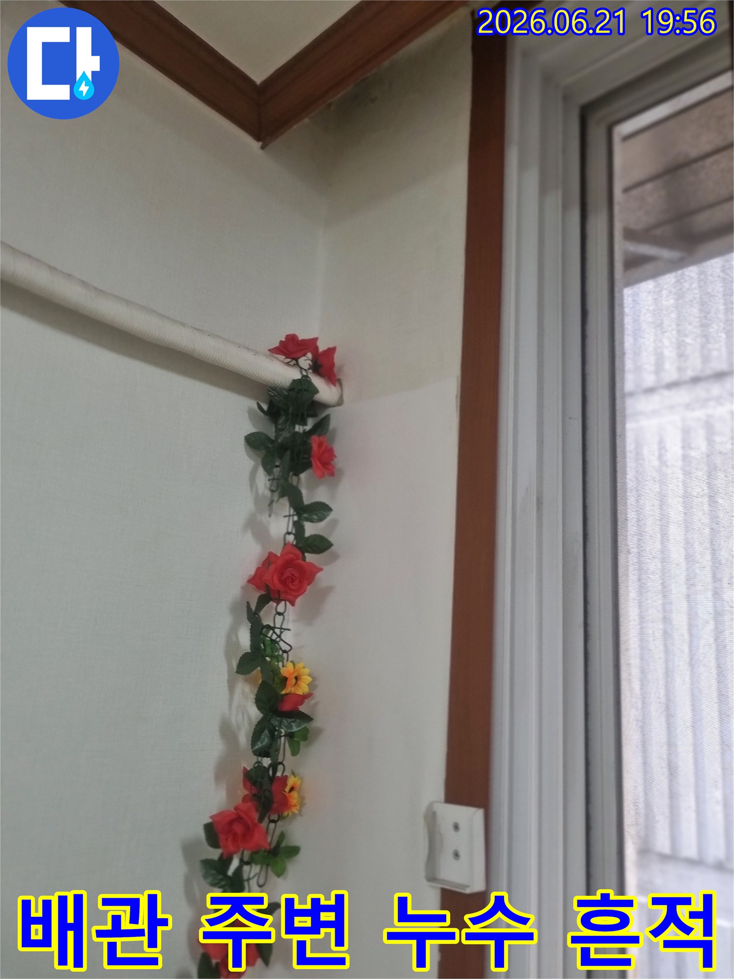 벽 모서리의-배관 주변에-물이 새어-벽지가-젖고-변색된-모습입니다-장식용 덩굴이-감겨있어-누수 발생을-늦게-알아차렸을-가능성이-있습니다
