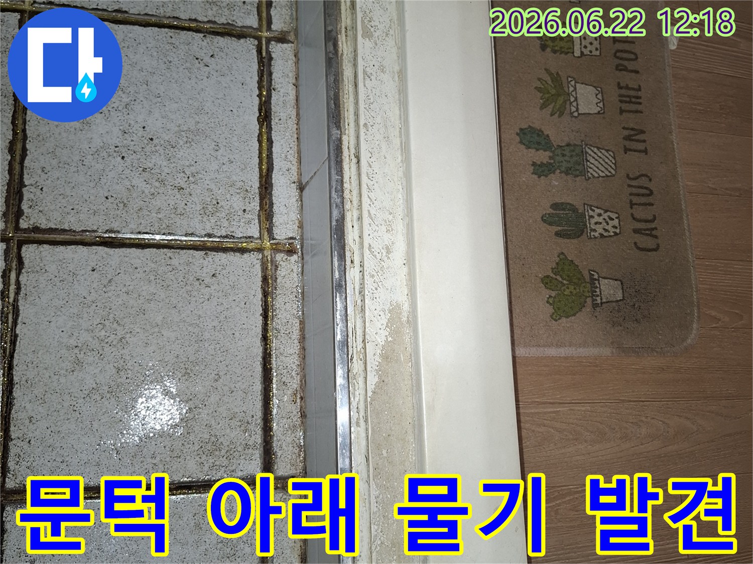 욕실 문턱 하단에 물기가 스며들어 마루와 경계면이 젖어 있는 현장 사진-누수 발생 가능성을 보여주는 중요한 단서입니다