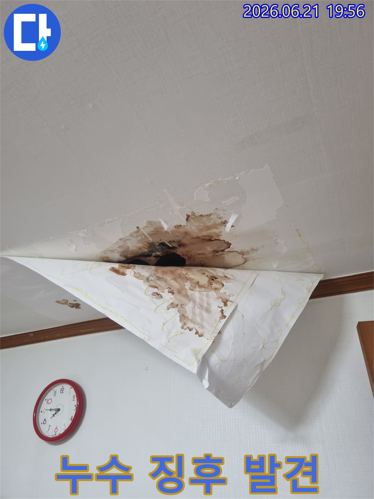 천장에서 물이 새어 벽지가 젖고 얼룩진 모습-누수 징후 발견 시 즉시 전문가와 상담해야 합니다