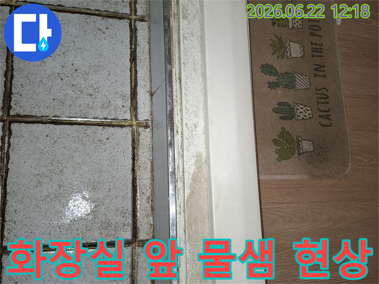 화장실 문턱 주변에 물기가 스며들어 마루가 젖은 모습을 담은 이미지-누수 원인 파악을 위한 현장 사진-전문가의 도움이 필요한 상황