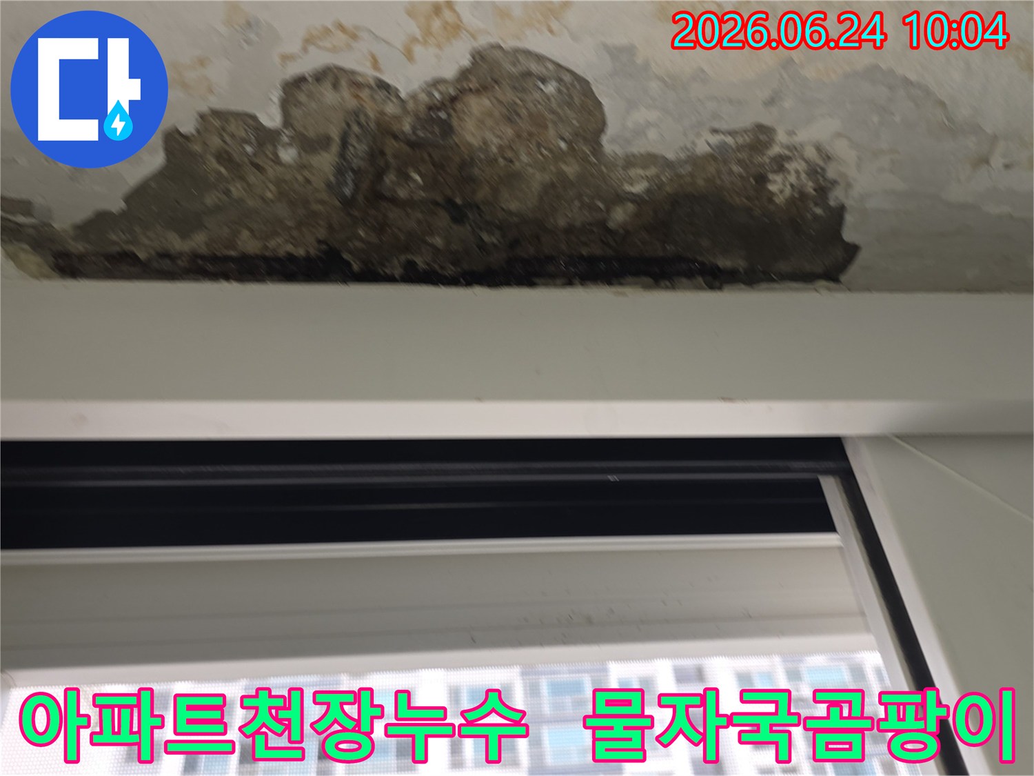 아파트-내부-천장에서-발견된-물자국과-곰팡이-발생-상황