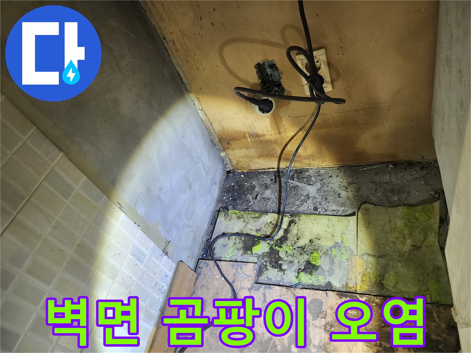 송파구 현장-콘크리트 벽면과 바닥의 곰팡이 오염 상태