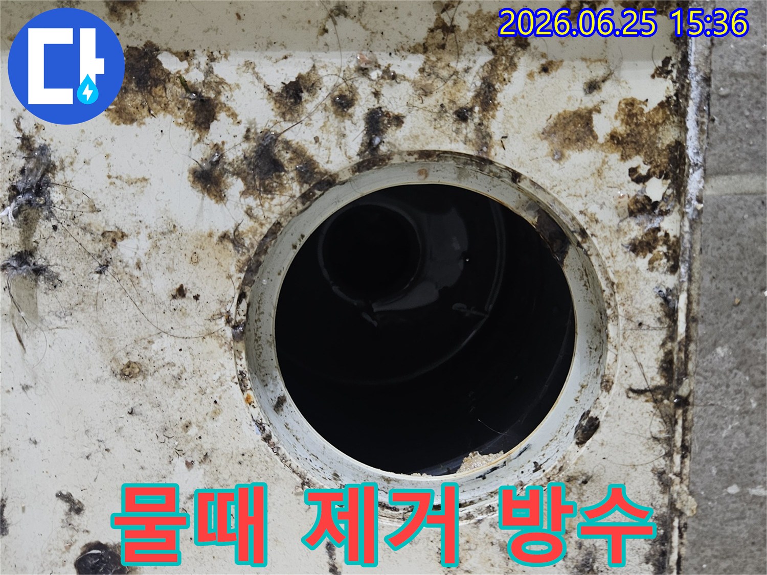 오염된 배수구 주변에 물때와 곰팡이가 심하게 낀 모습-누수 해결을 위한 물때 제거 및 방수 작업이 필요합니다