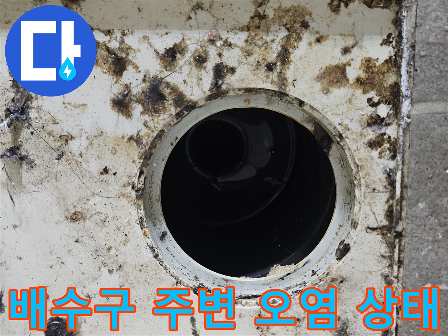 화장실-배수구-유가-주변의-심한-이물질-및-오염-상태