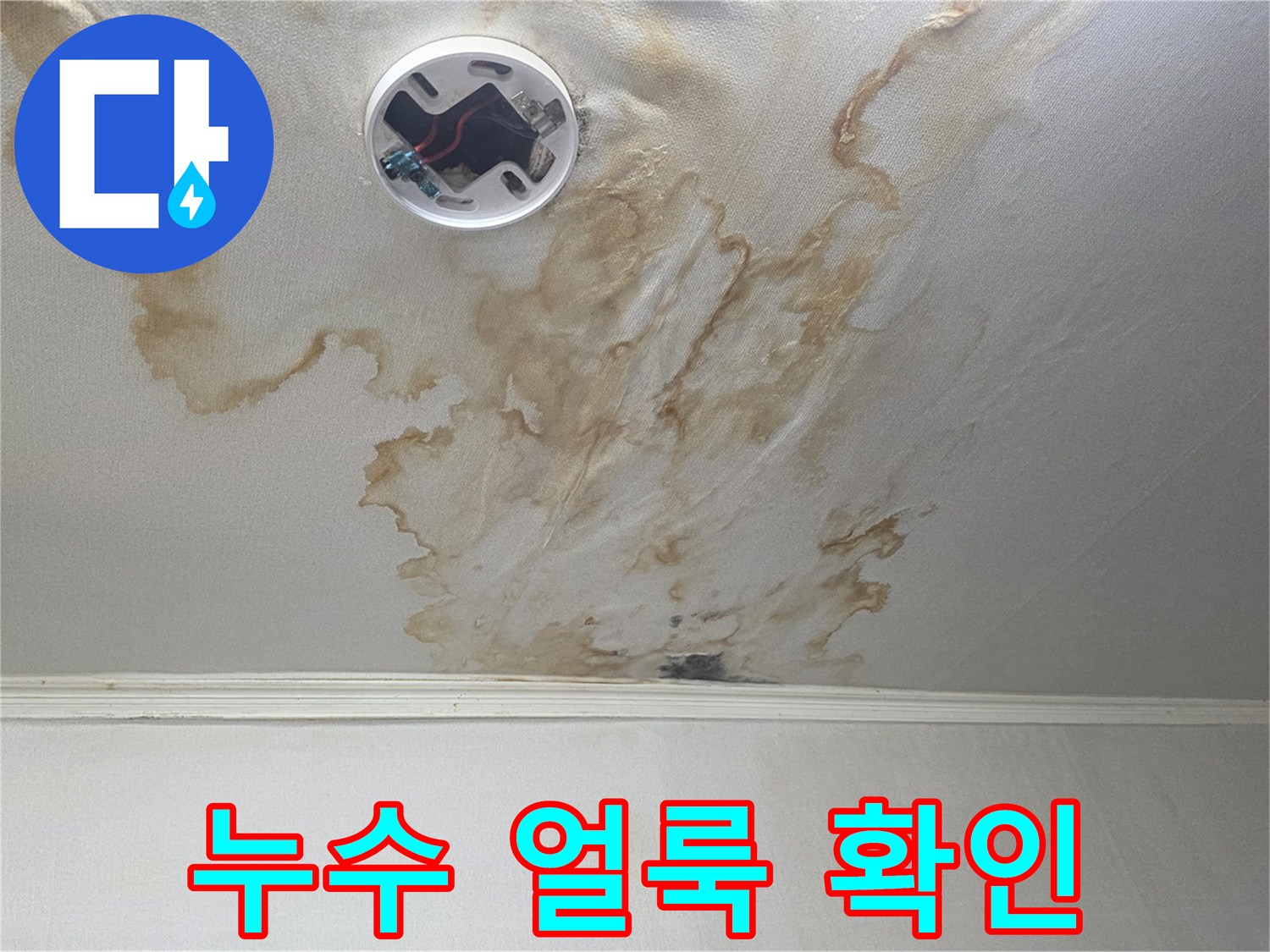 가양동 거실-천장 마감재에 발생한 광범위한 누수 흔적