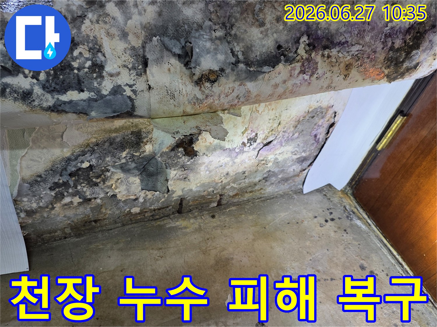누수로 인해 천장 벽지가 심하게 벗겨지고-검은 곰팡이가 광범위하게 퍼져있는 상태를 보여줍니다