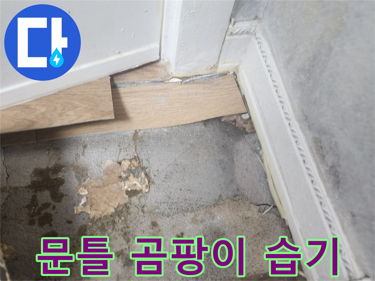 벽과 바닥이 만나는 지점에서-습기로 인해 변색되고-곰팡이가 시작된 듯한-누수 현장 사진입니다.