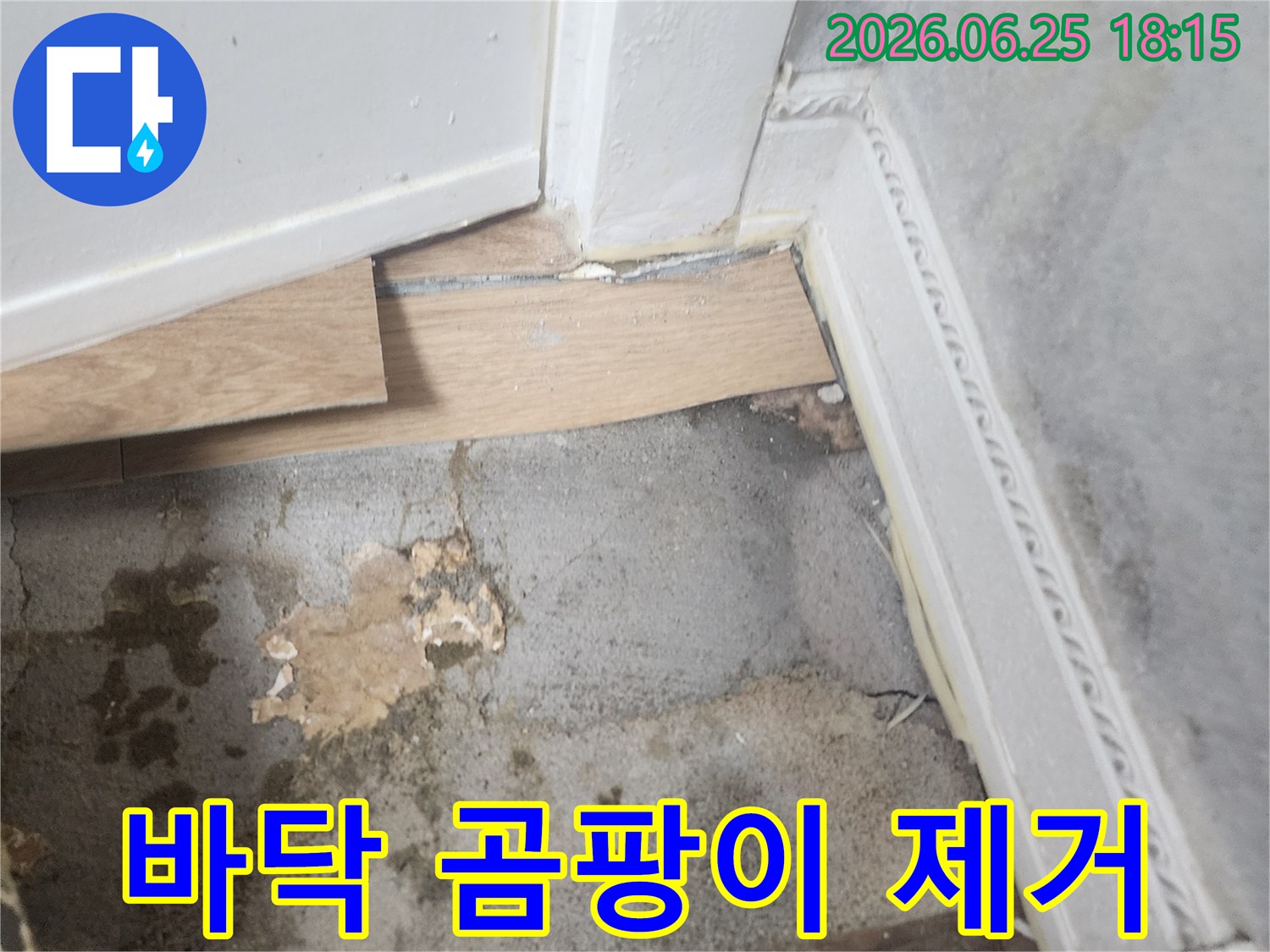습기로 인해 변색되고-곰팡이가 시작된 듯한-바닥과 벽면 경계의-누수 현장 사진입니다.