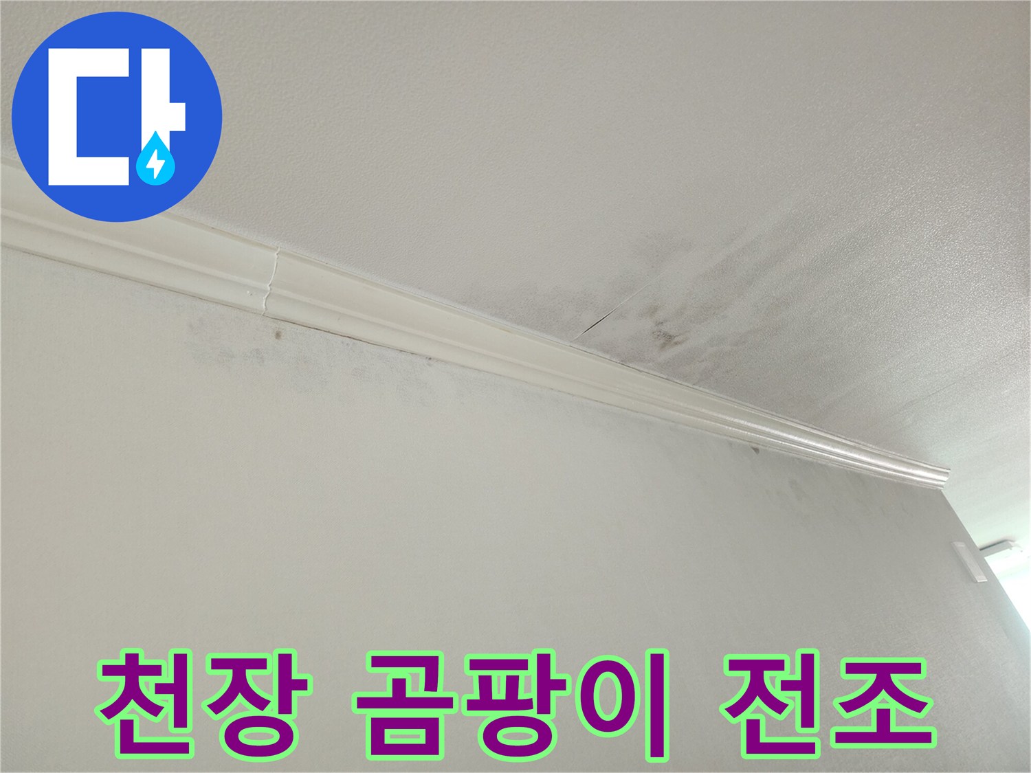 아파트 천장-벽면 접합부-누수로 인한-습기 흔적-곰팡이 발생-우려 지점