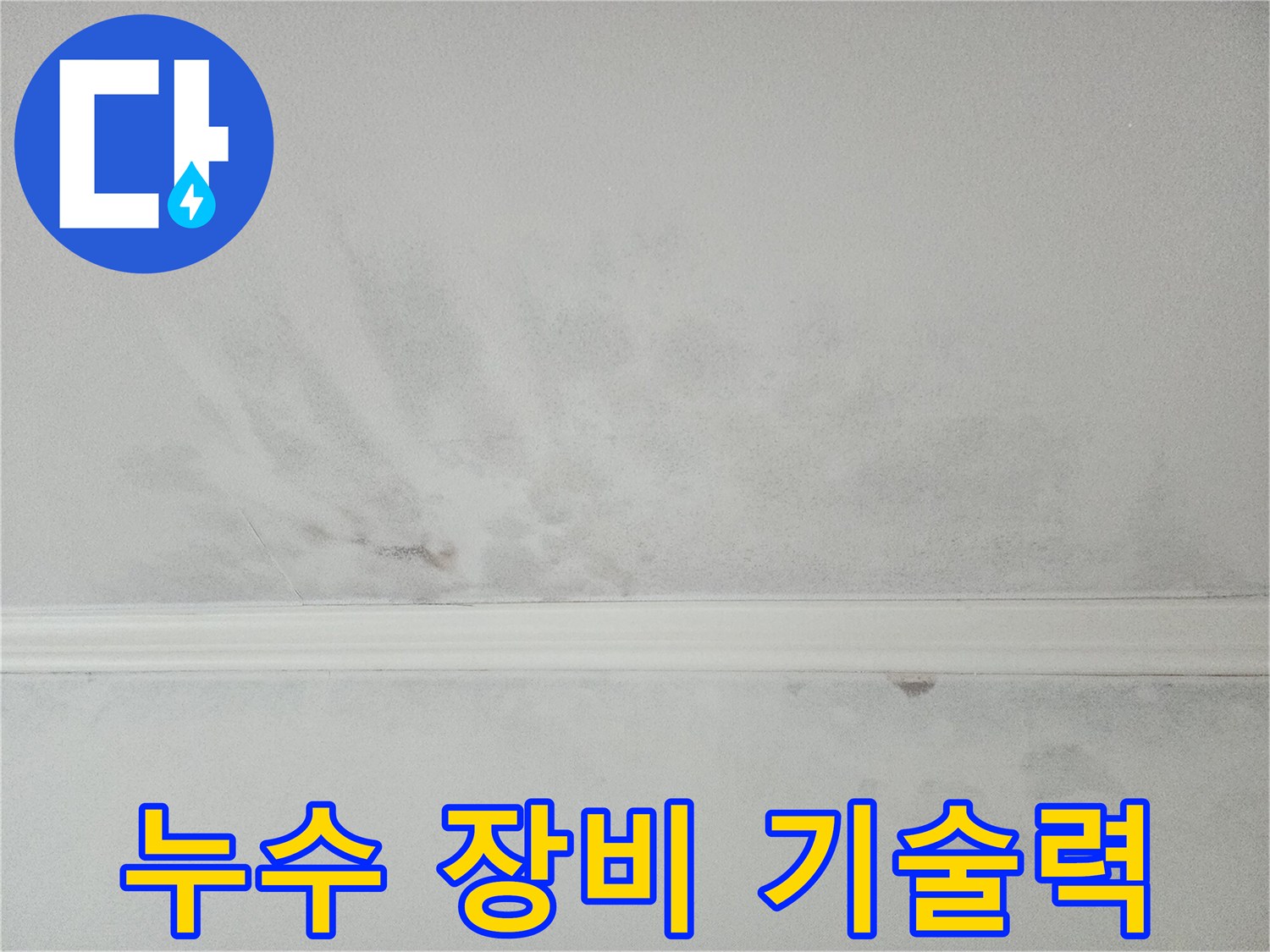 천장 누수 탐지를 위한 첨단 장비와 숙련된 기술-정확한 해결의 핵심입니다