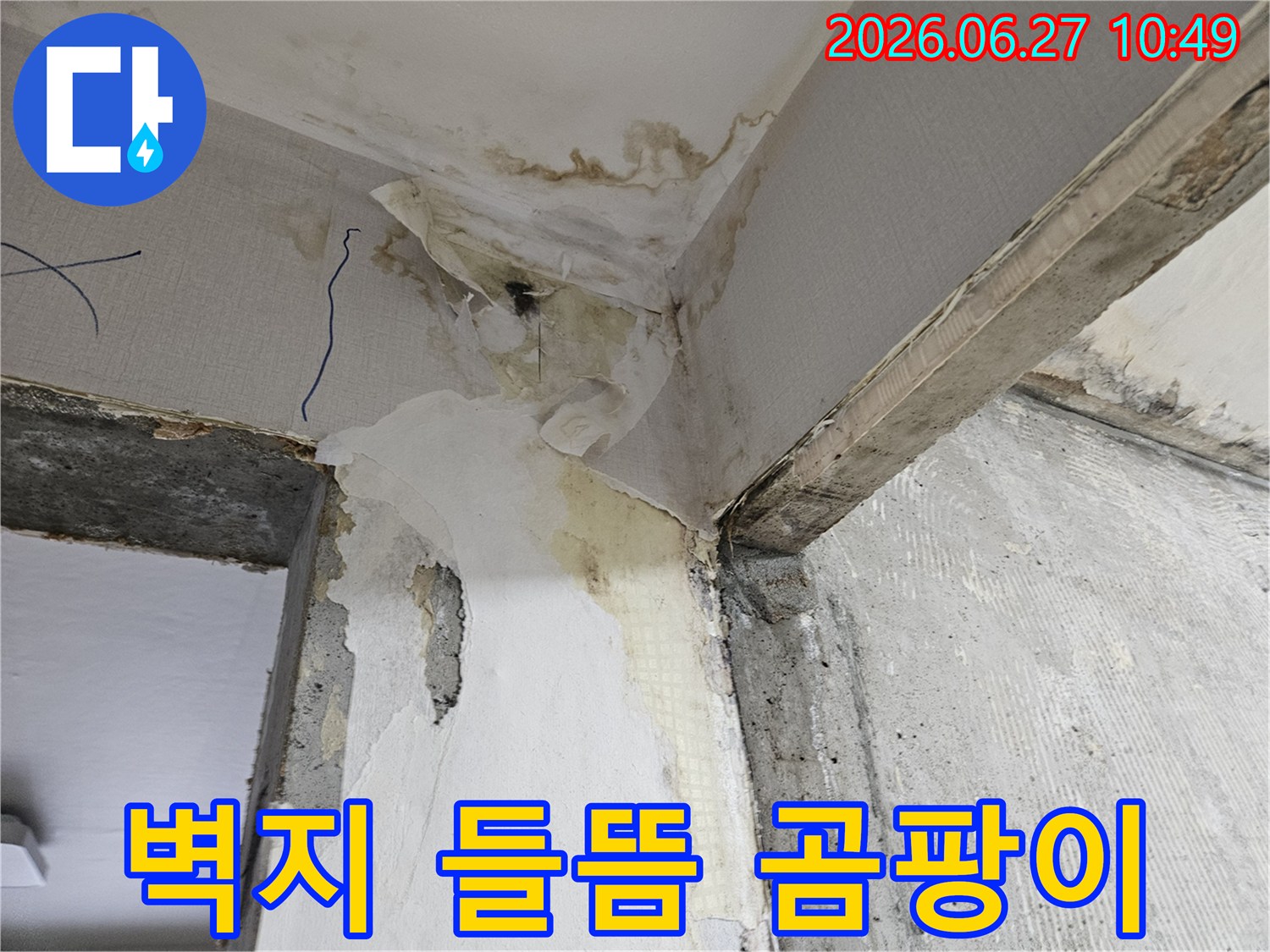 누수로-인해-벽지가-들뜨고-심각한-곰팡이가-발생한-벽면-모서리-현장