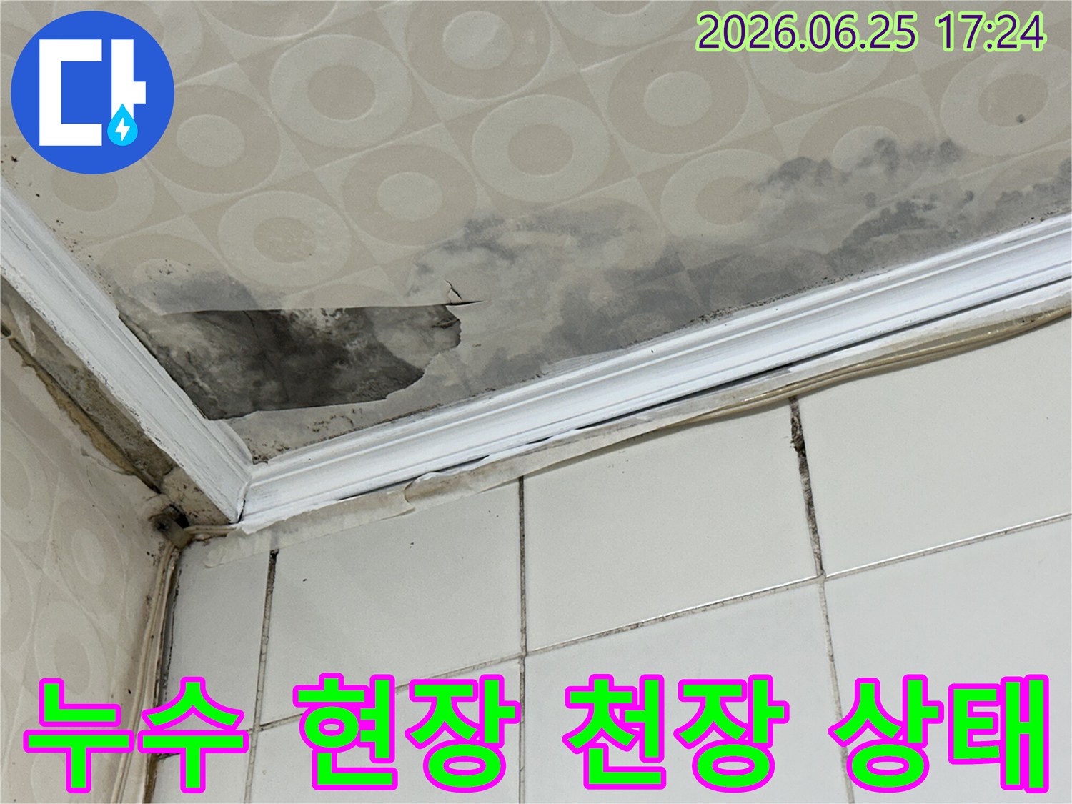 심각한-누수-문제로-천장-구조물까지-영향을-받아-곰팡이가-번식한-모습