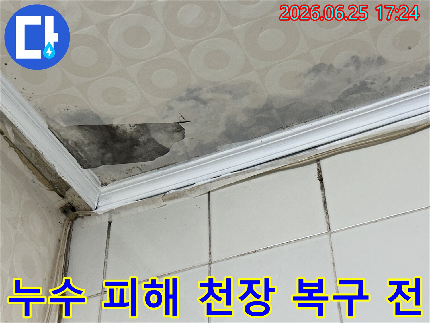 천장-마감재가-들뜨고-찢어지며-곰팡이가-번진-누수-피해-현장