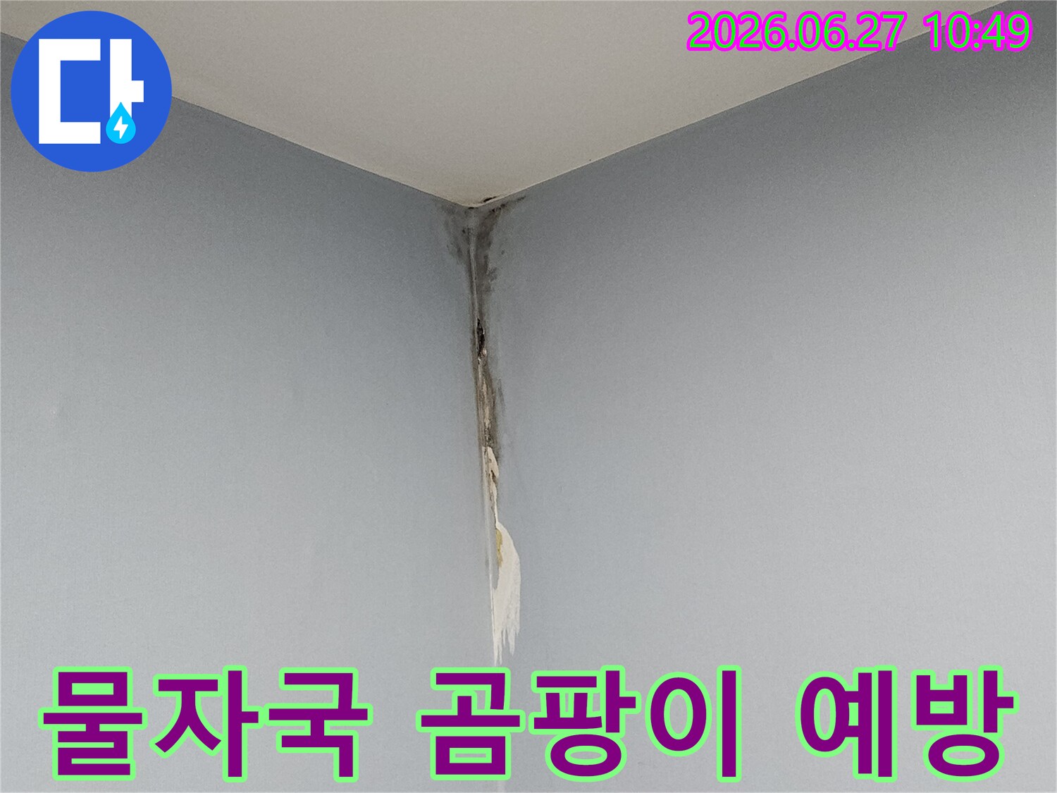 천장과 벽의 모서리 부근에 누수로 인한 물자국과 곰팡이가 발생하여-빌라 천장 누수 피해를 보여주며-전문적인 예방 조치가 필요한 현장입니다.