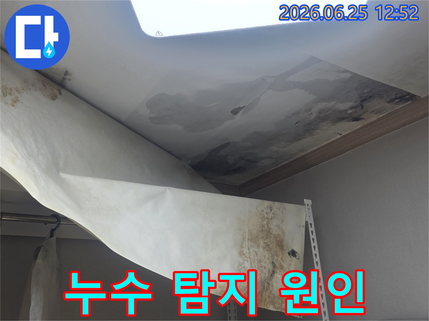 천장 누수로 인해-벽지가 손상되고-곰팡이가 발생한 현장에서-정확한 누수 원인을 탐지 중입니다