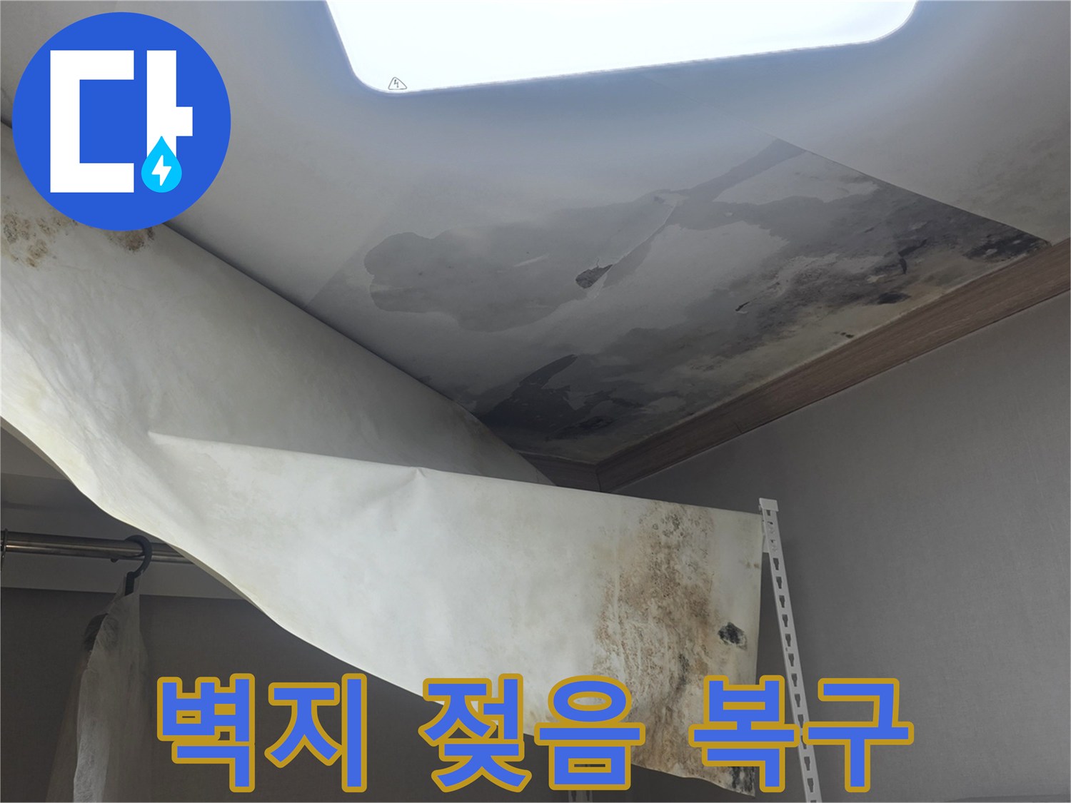 천장 벽지가 물에 젖어-심하게 손상되고-곰팡이가 번식한-누수 피해 현장입니다
