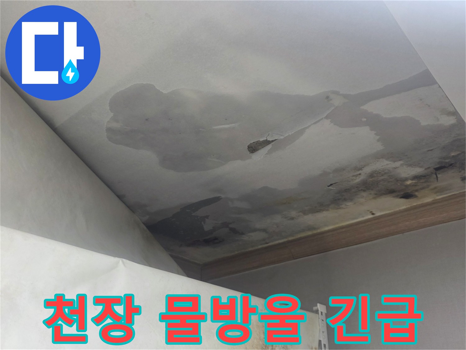 천장에서 물방울이 계속 떨어지는 모습은-즉각적인 누수 원인 파악과-긴급한 조치가 필요함을 나타냅니다.