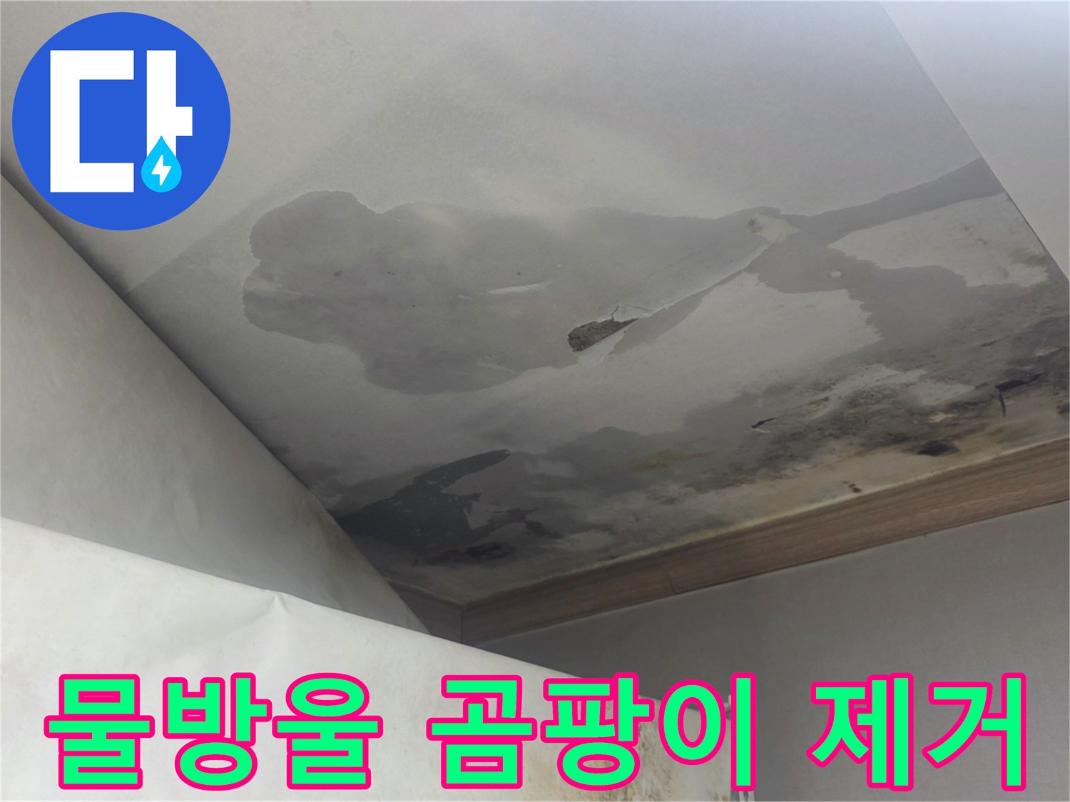 천장에서 물방울이 떨어지고-주변에 곰팡이가 번진 모습은-누수와 곰팡이 제거가 동시에 필요한 상황입니다.