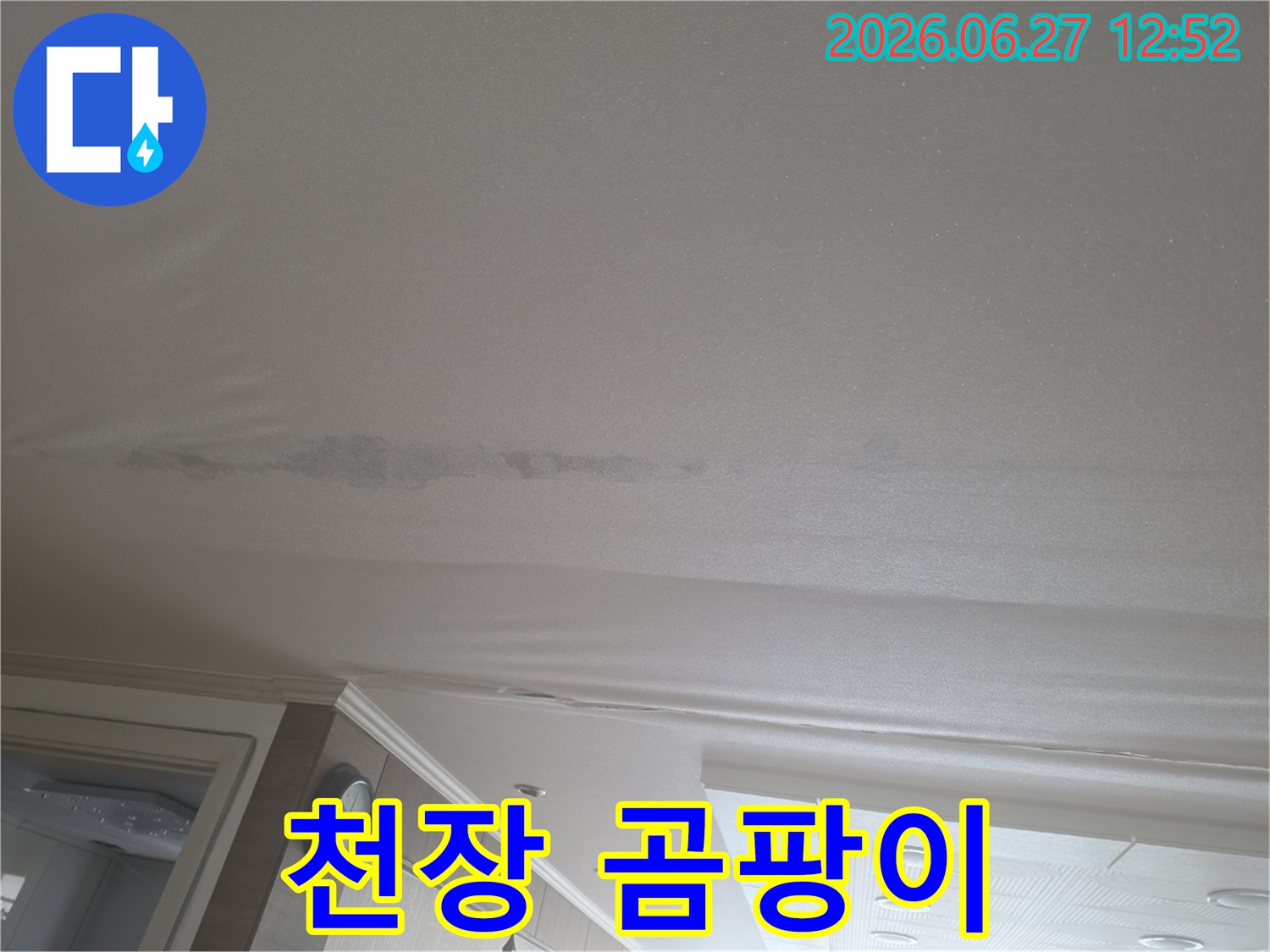 생활 공간에 영향을 미치는 천장 누수-안전하고 깨끗한 환경을 되찾으세요
